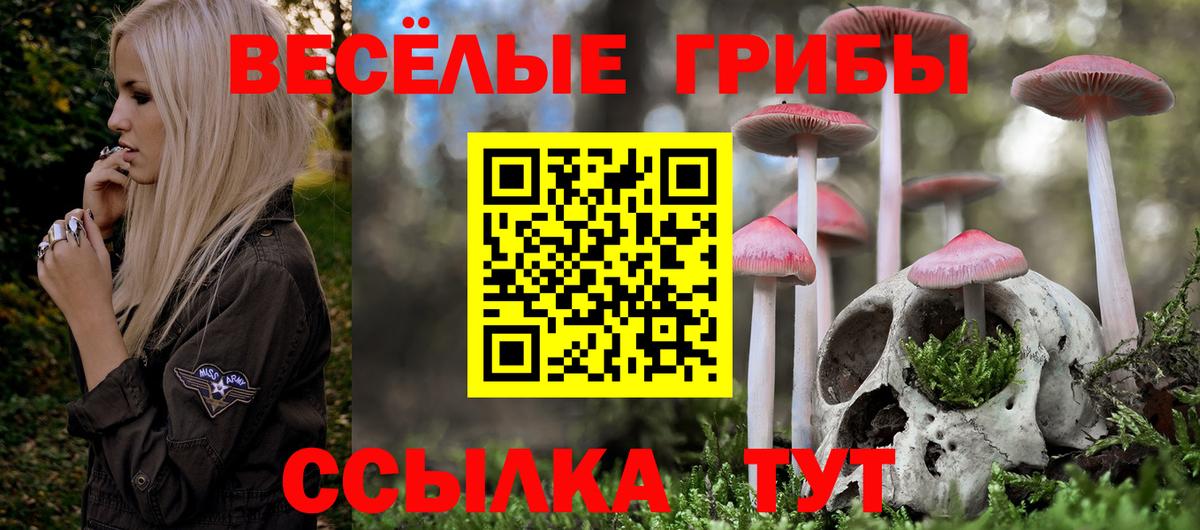 Псилоцибиновые грибы Psilocybe Керчь