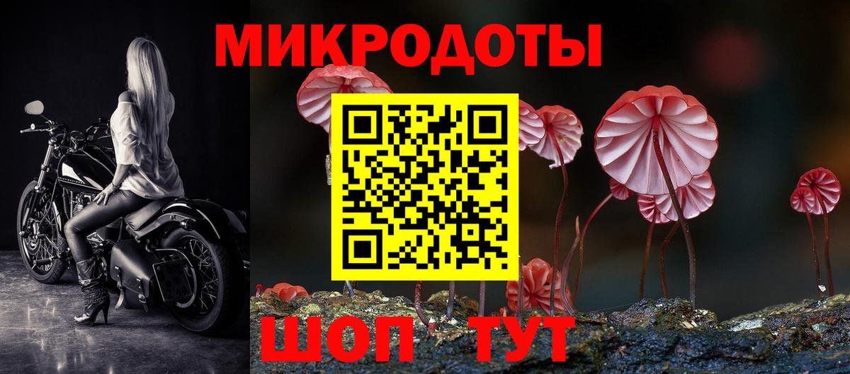 Керчь  Галлюциногенные грибы мицелий  Псилоцибиновые грибы прущие грибы  Вход с VPN 
